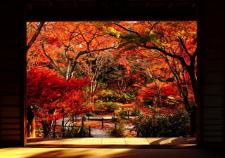 Illustration for article titled Bad Tourists Lead to Photography Ban at Japanese Temples